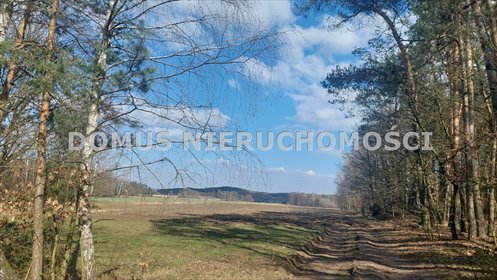 Działka 3511 m2 z lasem i MPZP pod zabudowę zagrodową działka Grzmiąca