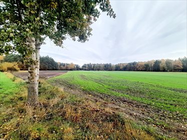 Działka rekreacyjna na sprzedaż Mianów 2 828m2 Foto 3