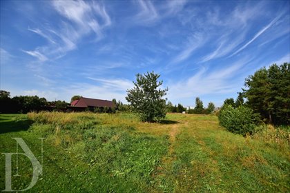 Na sprzedaż działka 2613 m² w Narewie z mediami i możliwością podziału działka Narew