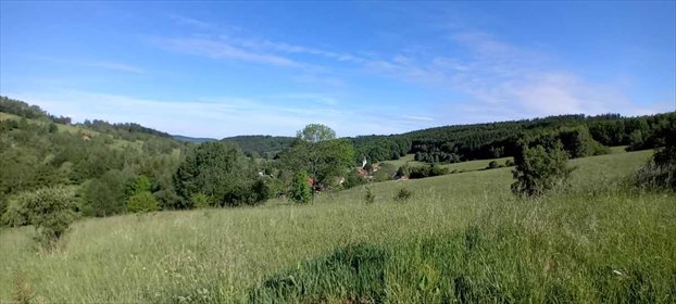 działka na sprzedaż 3742m2 działka Michałkowa, Michałkowa