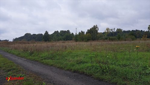 Działka budowlana 1421 m² w Ostrzeszowie – spokojna okolica działka Ostrzeszów