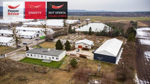 lokal użytkowy na sprzedaż 1109m2 lokal użytkowy Strzebielino, Stanisława Witkacego