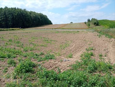 Działka 22,4 ara z warunkami zabudowy w Rzeszowie zapraszam działka Rzeszów, Bzianka, Leszczynowa
