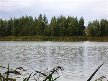 Działka rekreacyjna na sprzedaż Pozorty 120 000m2 Foto 7