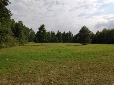 Działka budowlana na sprzedaż Chotyłów 8 503m2 Foto 2