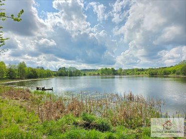 działka na sprzedaż 11306m2 działka Żabin, Żabin