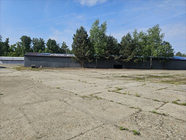 Przemysłowa nieruchomość 3,59 ha z budynkami - polecam lokal użytkowy Sieradza