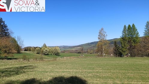 Działka 3 800 m² z widokiem na Czarną Górę i Śnieżnik działka Radochów