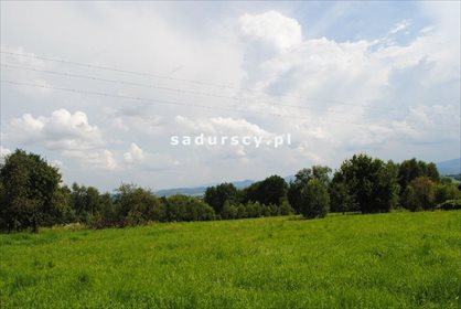Działka leśna na sprzedaż Aleksandrów 50 000m2 Foto 3