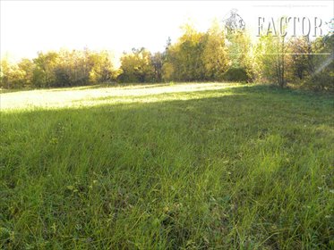 Działka rolna 1,58 ha z lasem, cicha okolica, dojazd gminny działka Rozdziele