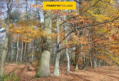 działka na sprzedaż 1060m2 działka Skierniewice