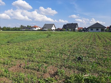 Działka budowlana 1000 m² w spokojnej okolicy działka Smardzów