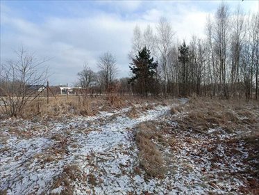Działki w Chocianowie 22 704 m² - polecam działka Chocianów