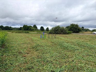 Polecam działkę 1000 m² z wodą i prądem w Chrząstawie Wielkiej działka Chrząstawa Wielka