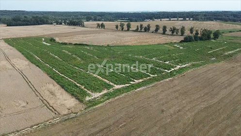 działka na sprzedaż 58600m2 działka Rozajny