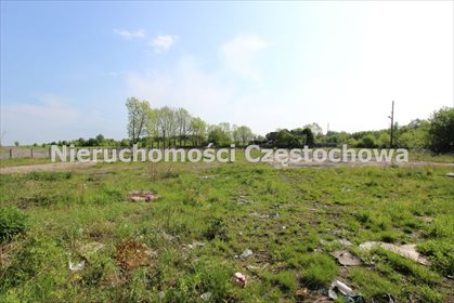 Działka inna pod dzierżawę Puszczew 9 921m2 Foto 4