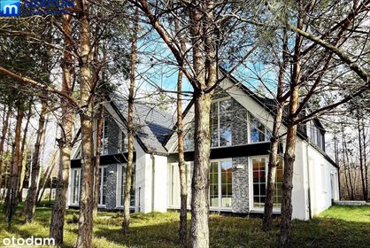 Nowoczesny dom z antresolą i dużymi przeszkleniami dom Adamów