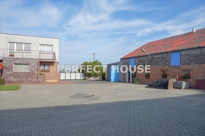 Lokal użytkowy na sprzedaż Mrowino 257m2 Foto 1