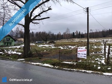 działka na sprzedaż 1348m2 działka Górki Wielkie, Szpotawicka