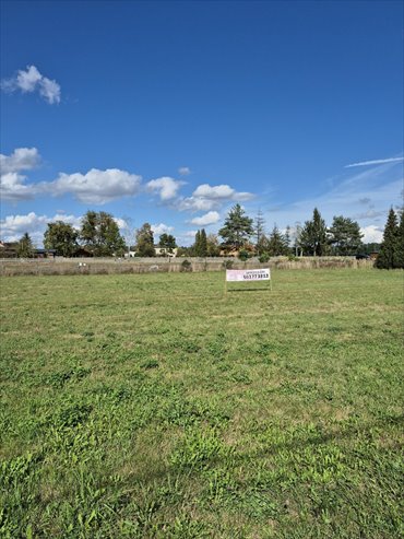 działka na sprzedaż 1776m2 działka Rachowice, Piękna