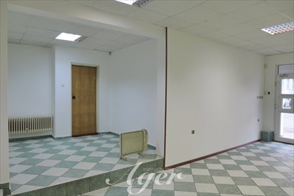 Do sprzedania przestronne 5-pokojowe mieszkanie z witryną i dużymi możliwościami aranżacji mieszkanie Zielona Góra, Jedności