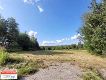 działka na sprzedaż 3797m2 działka Masłów, Masłów Drugi