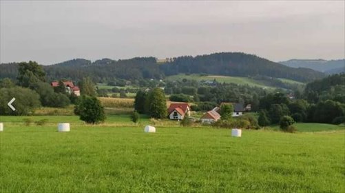 Działka z widokiem na góry i potok - polecam działka Nowa Ruda