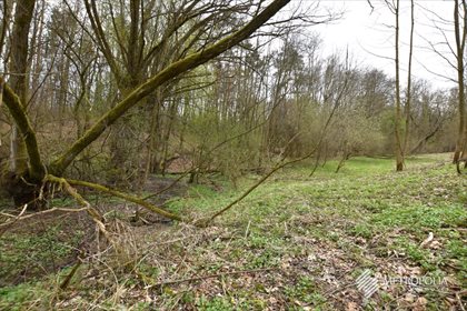 Działka rekreacyjna na sprzedaż Zręczyce 10 287m2 Foto 6