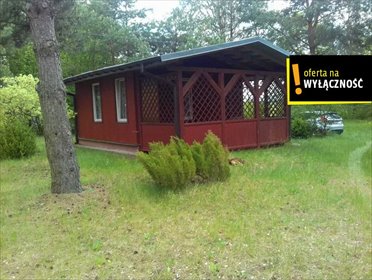 Na sprzedaż działka 2500 m² z domkiem przy starorzeczu Nidy działka Tyniec-Kolonia