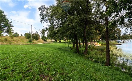 Działka budowlana na sprzedaż Zełwągi 4 648m2 Foto 7