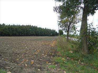 Dom na sprzedaż Wólka Ołudzka 65m2 Foto 3
