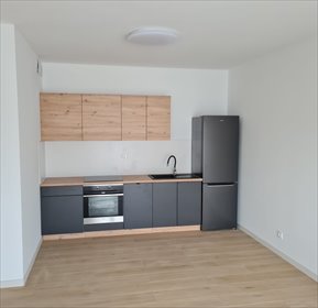 Mieszkanie na wynajem 45m2 mieszkanie Plewiska, Jarzębinowa