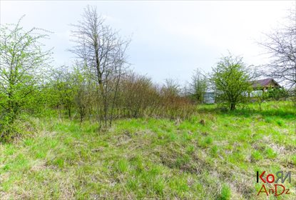 Działka rekreacyjna na sprzedaż Stare Chojno 4 000m2 Foto 1
