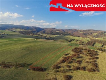 działka na sprzedaż 3177m2 działka Grywałd