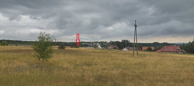 Działka budowlana na sprzedaż Górna Grupa 1 164m2 Foto 3