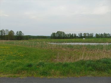 Działka rolna na sprzedaż Kępa Mała 15 000m2 Foto 4