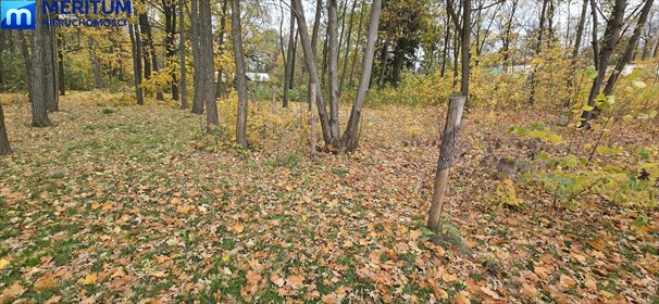 Polecam malowniczą działkę leśną z prawem zabudowy 2590 m² w Podkowie Leśnej działka Podkowa Leśna
