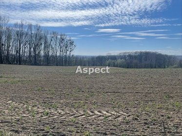 działka na sprzedaż 910m2 działka Turza Śląska