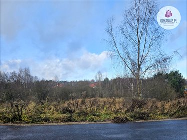 działka na sprzedaż 1981m2 działka Naterki, ul. Brylantowa