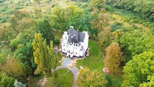 Na sprzedaż stylowy pałacyk z 1917 r. z kominkami i dużą działką dom Świętoszów, Dębowa
