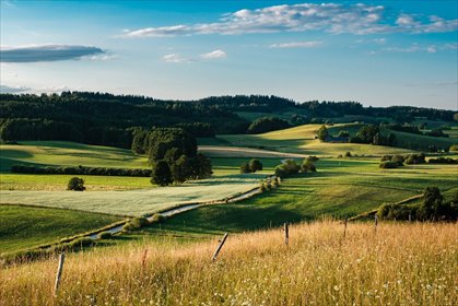 działka na sprzedaż 1000m2 działka Białystok, Dojlidy Górne