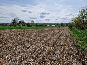Działka budowlana w Goszczy 8 arów, media, spokojna okolica działka Goszcza