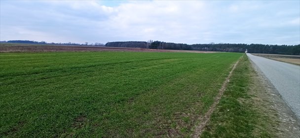 działka na sprzedaż 6500m2 działka Łowicz, Łódzka