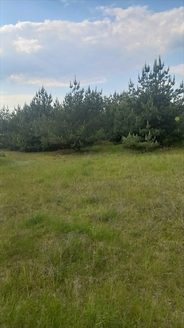 Na sprzedaż działka 4 469 m² w Mierzynku z WZ, cicha okolica działka Mierzynek