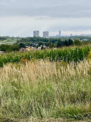 działka na sprzedaż 8800m2 działka Racławówka