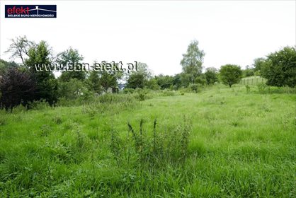 działka na sprzedaż 2579m2 działka Bielsko-Biała, Kamienica