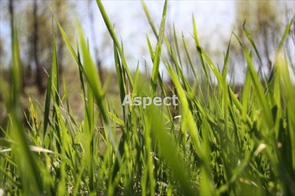 działka na sprzedaż 3275m2 działka Zwonowice