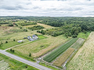 działka na sprzedaż 3010m2 działka Tolkmicko