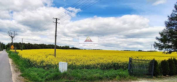 działka na sprzedaż 3000m2 działka Łuszczów Pierwszy