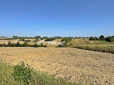 działka na sprzedaż 11290m2 działka Podlesice